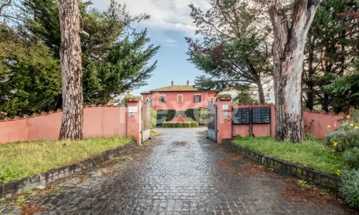 Rexer-Roma-Cassia-Ad-Olgiata-Altro