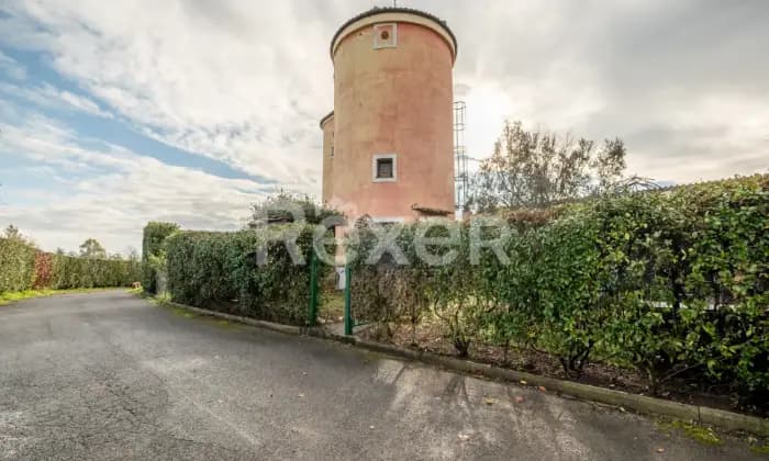 Rexer-Roma-Cassia-Ad-Olgiata-Altro