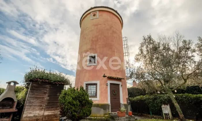Rexer-Roma-Cassia-Ad-Olgiata-Altro