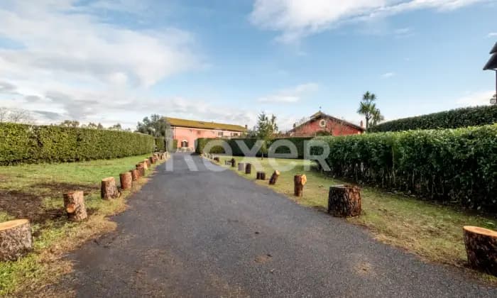 Rexer-Roma-Cassia-Ad-Olgiata-Altro