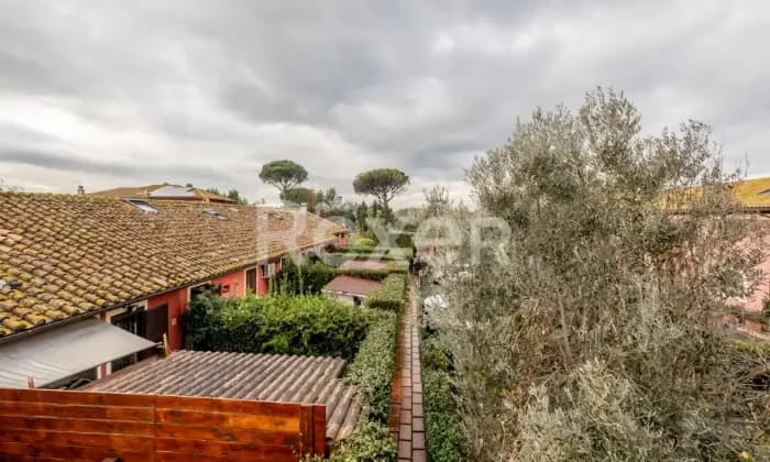 Rexer-Roma-Cassia-Ad-Olgiata-Altro