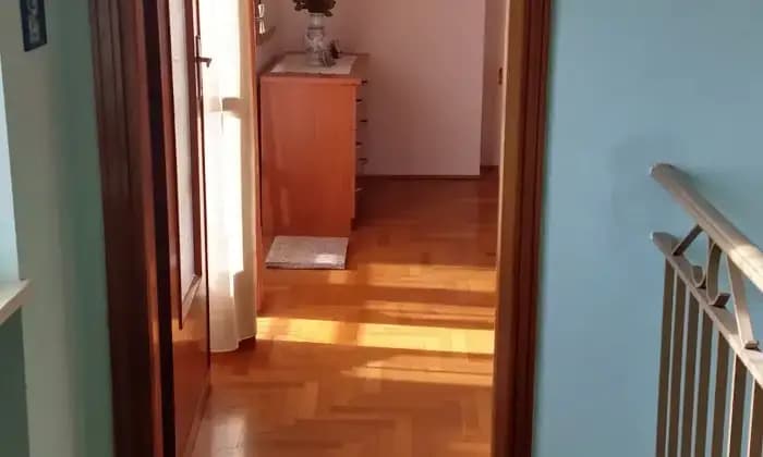 Rexer-Corio-ALA-DX-CASA-Altro