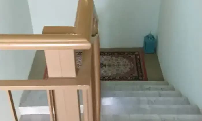 Rexer-Corio-ALA-DX-CASA-Altro